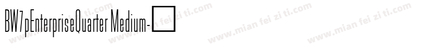 BW7pEnterpriseQuarter Medium字体转换